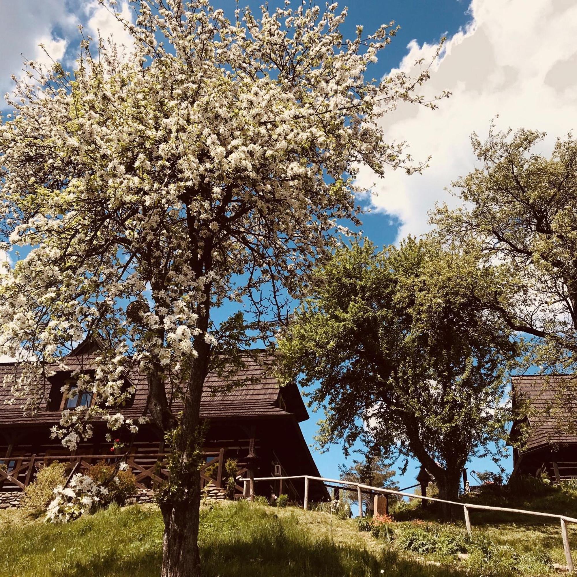 Maciejewka Villa Zahoczewie ภายนอก รูปภาพ