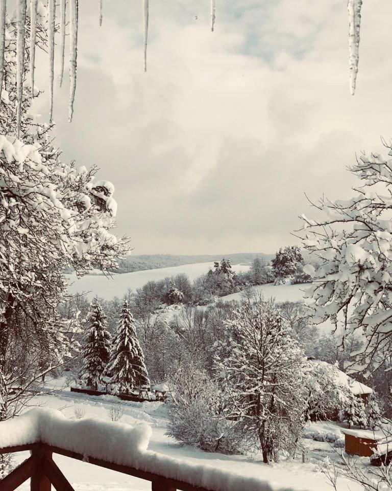 Maciejewka Villa Zahoczewie ภายนอก รูปภาพ