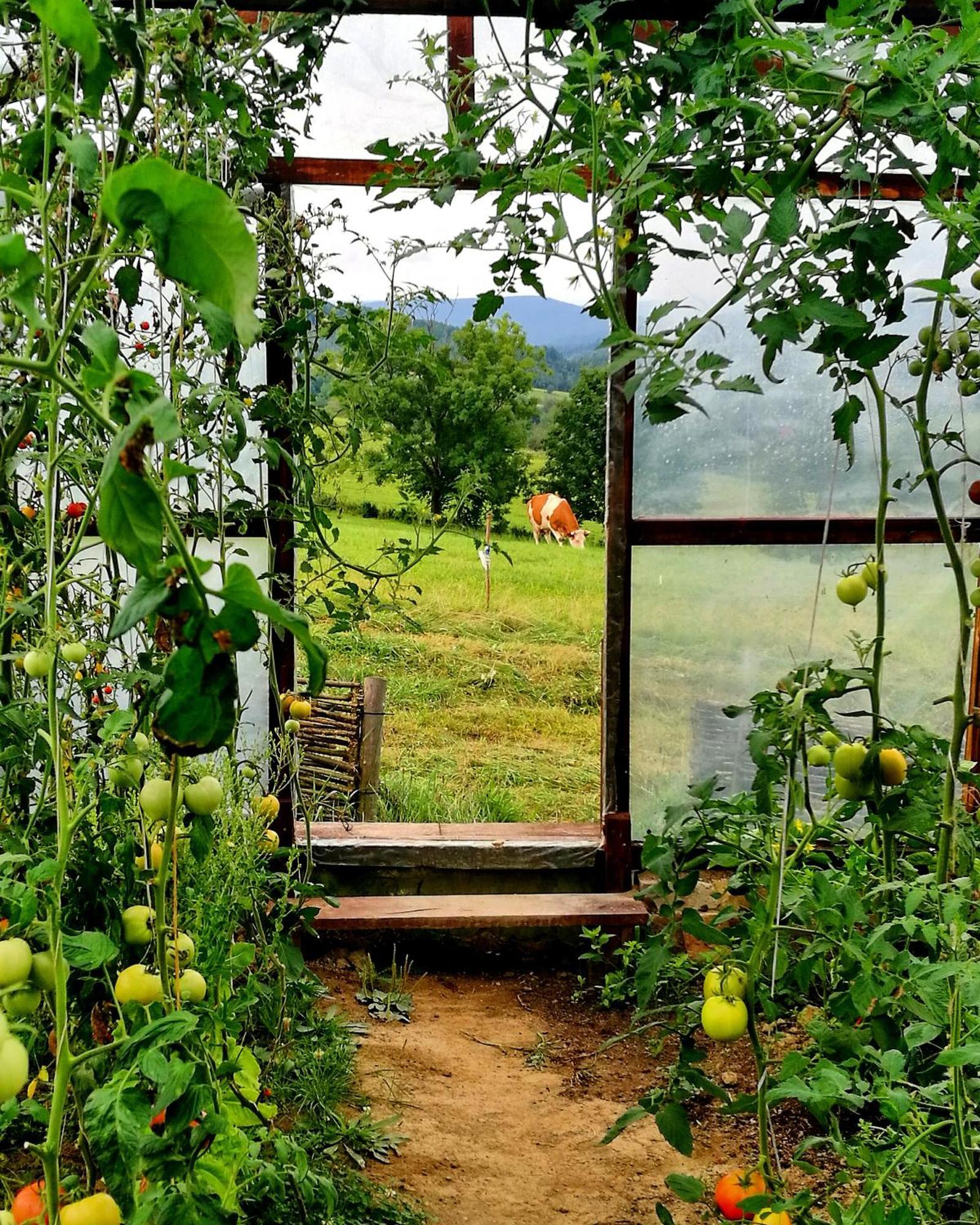 Maciejewka Villa Zahoczewie ภายนอก รูปภาพ