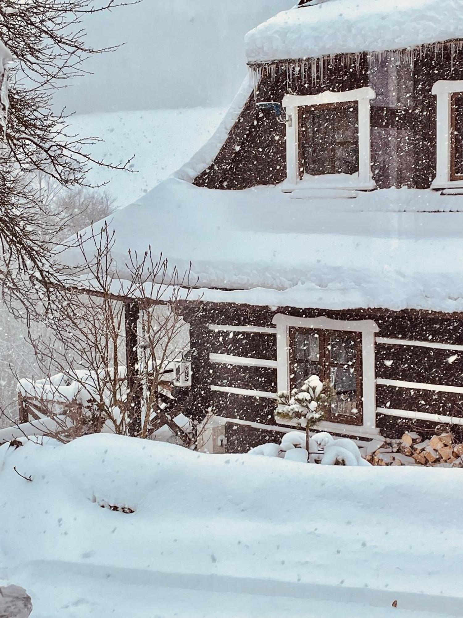 Maciejewka Villa Zahoczewie ภายนอก รูปภาพ