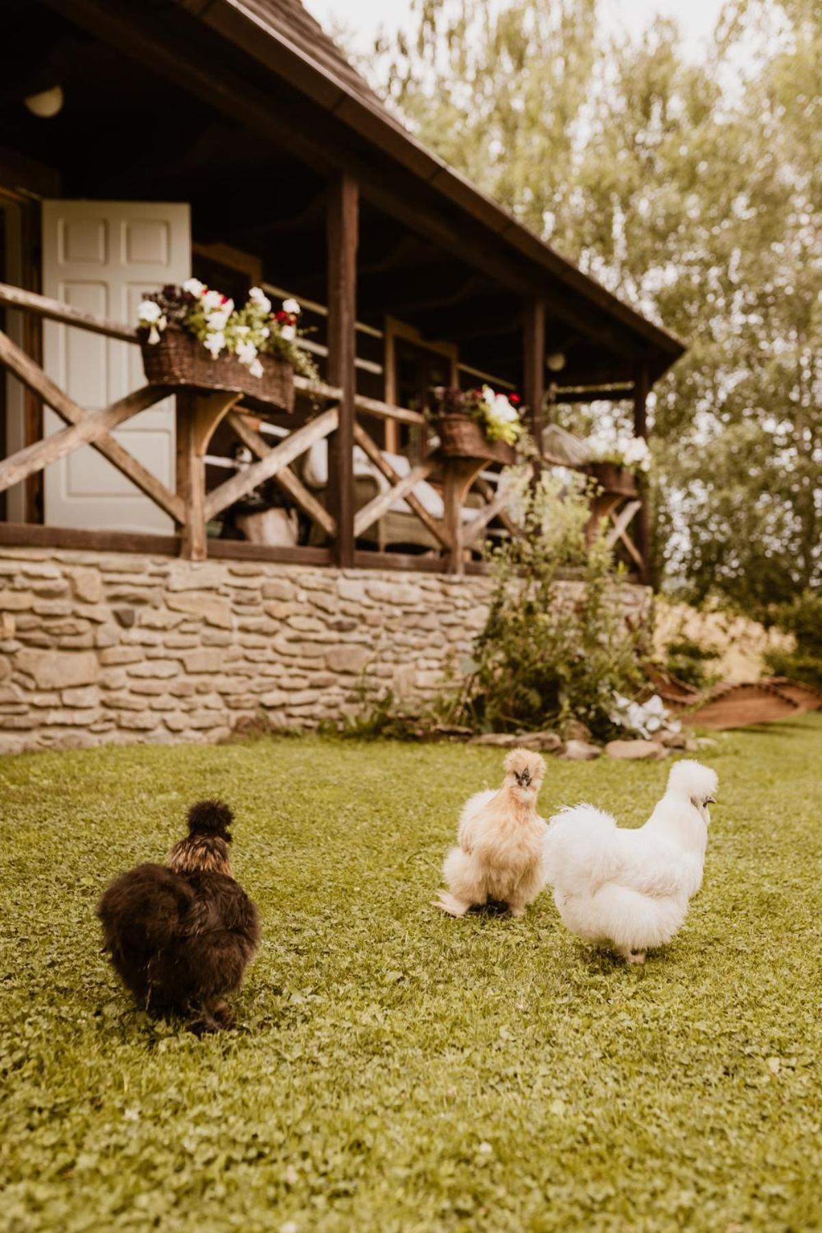 Maciejewka Villa Zahoczewie ภายนอก รูปภาพ