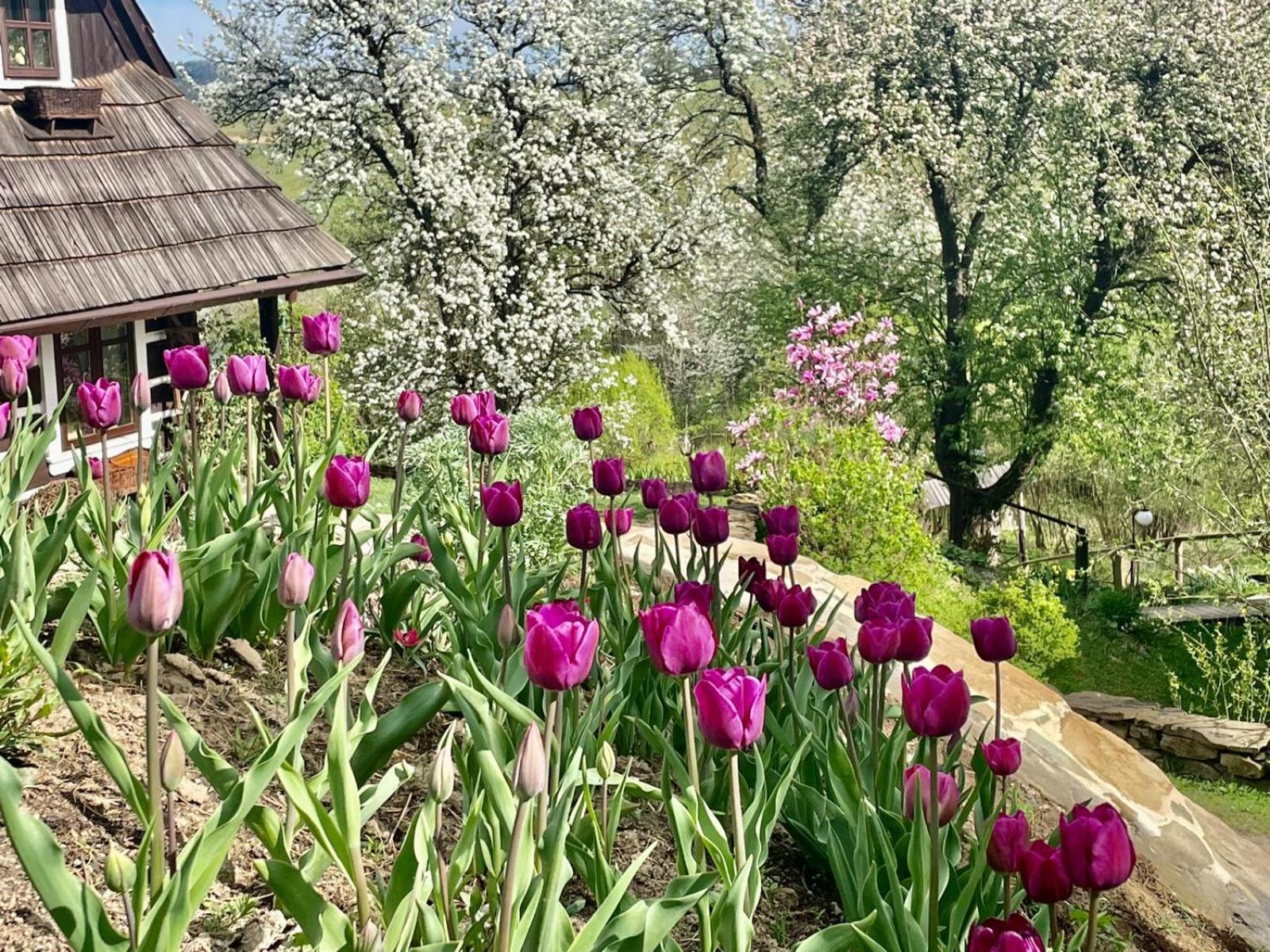 Maciejewka Villa Zahoczewie ภายนอก รูปภาพ